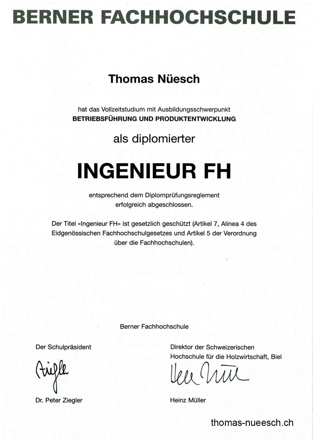 Diplom Ingenieur FH (Dipl. Ing. FH) Thomas Nüesch Online Marketing Spezialist